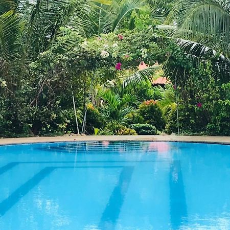 Italian Guest Hotel ตรินโคมาลี ภายนอก รูปภาพ